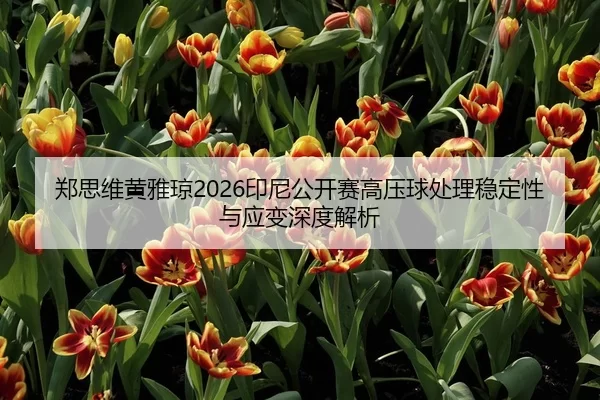 郑思维黄雅琼2026印尼公开赛高压球处理稳定性与应变深度解析