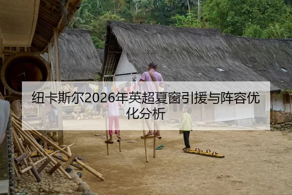 纽卡斯尔2026年英超夏窗引援与阵容优化分析