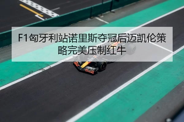 xiong-ya-li-zhan-nuo-li-si-duo-guan-hou-mai-kai-lun-ce-lve-wan-mei-ya-zhi-hong-niu-2-141.jpg